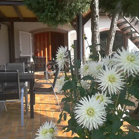Διαμέρισμα D'une Chambre Avec Terrasse Et Wifi A *