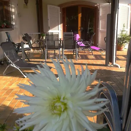 D'une Chambre Avec Terrasse Et Wifi A